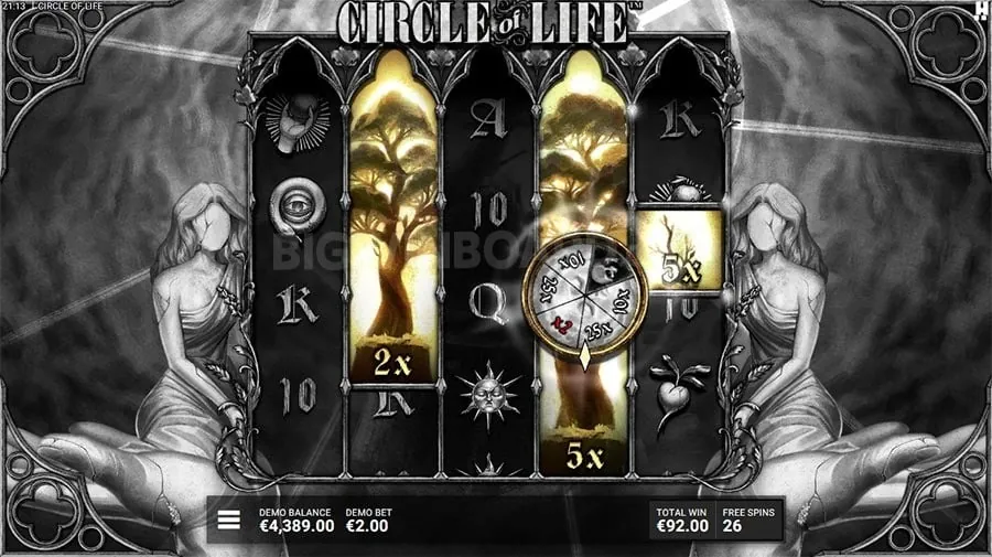 Live Dealer Experience